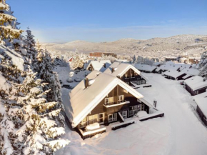 Trysil Alpin 40A